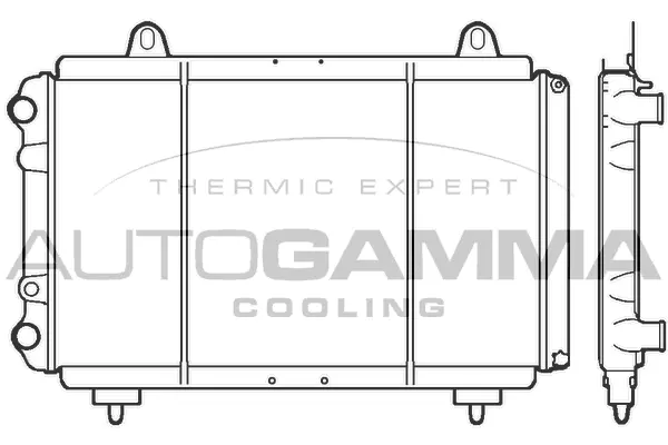 Radiator, engine cooling (100035)