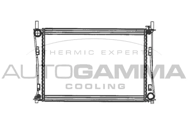 Radiator, engine cooling (103072)