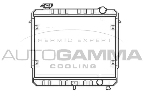 Radiator, engine cooling (100442)