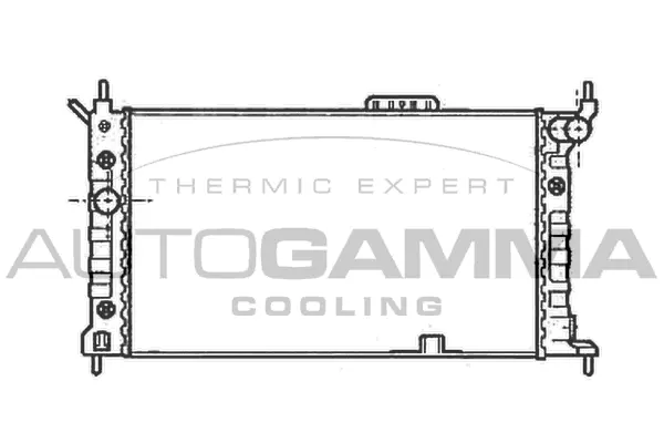 Radiator, engine cooling (102217)