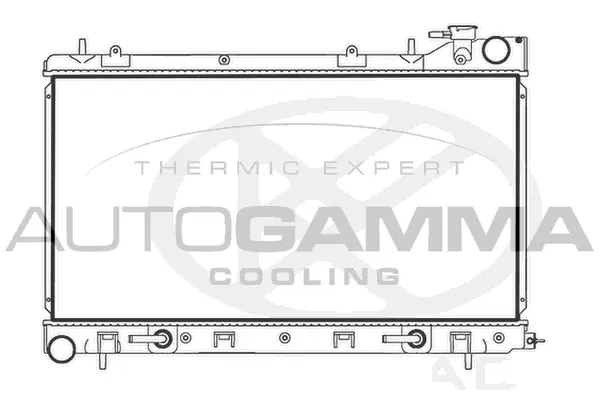 Radiator, engine cooling (107721)