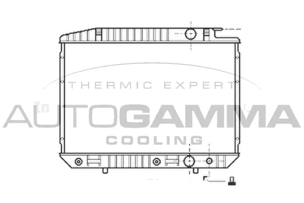 Radiator, engine cooling (100561)