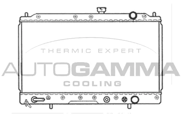 Radiator, engine cooling (105569)