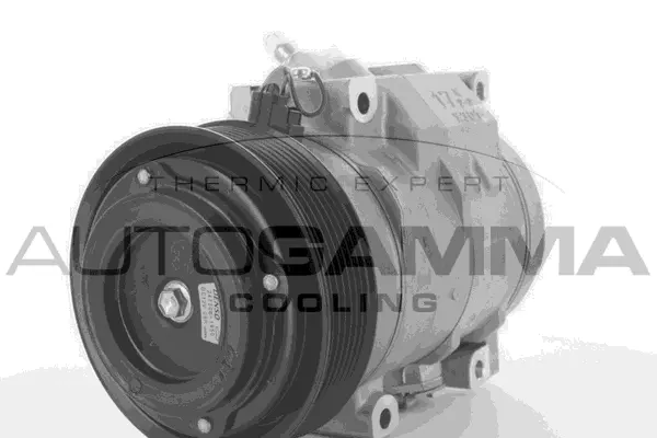 Compressor, air conditioning (118422)