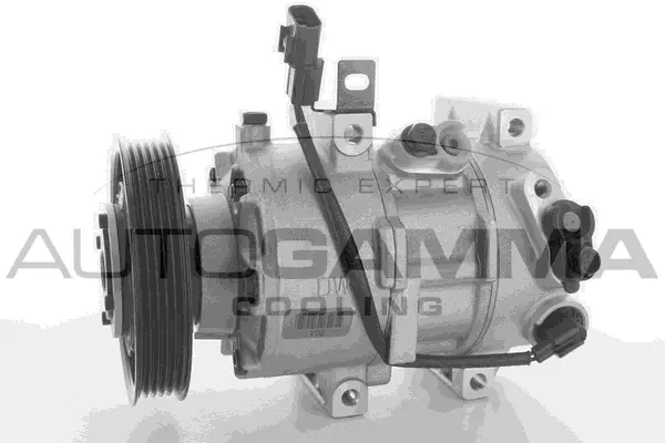 Compressor, air conditioning (118488)