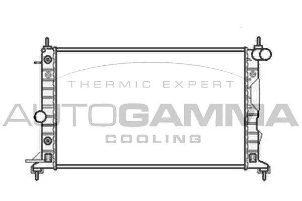 Radiator, engine cooling (104316)
