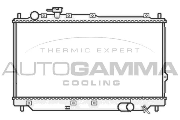 Radiator, engine cooling (105800)