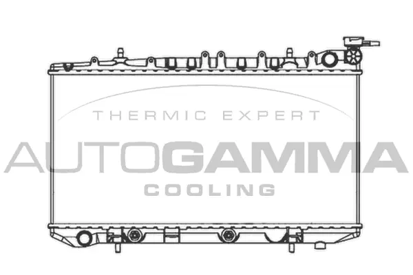 Radiator, engine cooling (103973)