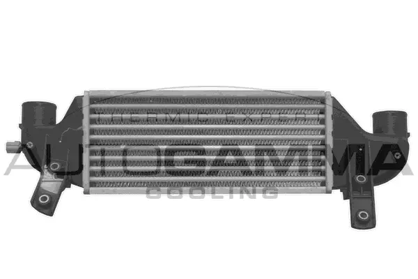 Charge Air Cooler (102401)