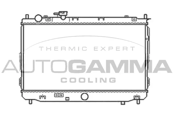 Radiator, engine cooling (105803)
