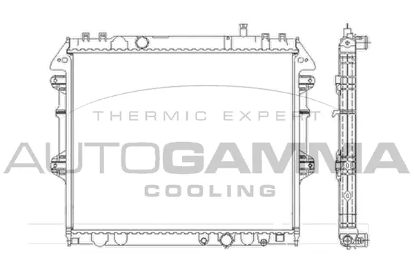 Radiator, engine cooling (105451)