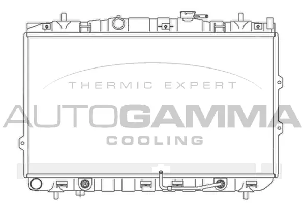 Radiator, engine cooling (104174)