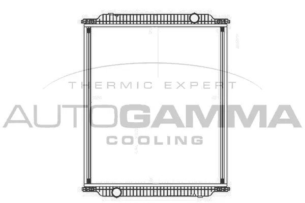 Radiator, engine cooling (405024)