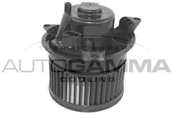Interior Blower (GA34005)