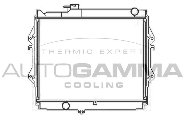 Radiator, engine cooling (105183)