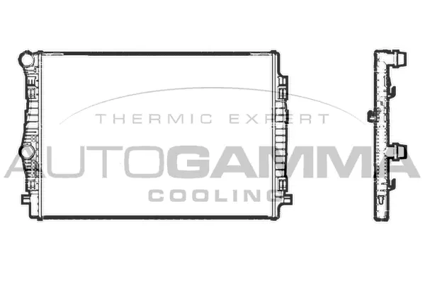 Radiator, engine cooling (107199)