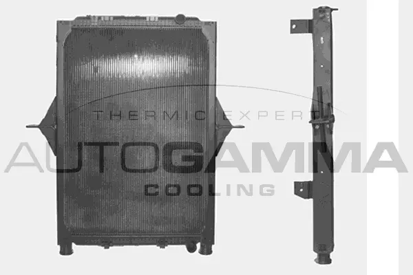 Radiator, engine cooling (404592)