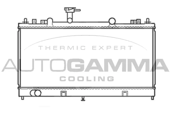 Radiator, engine cooling (103442)