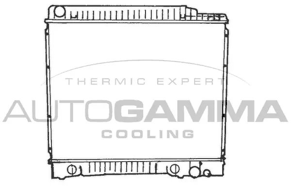 Radiator, engine cooling (100537)