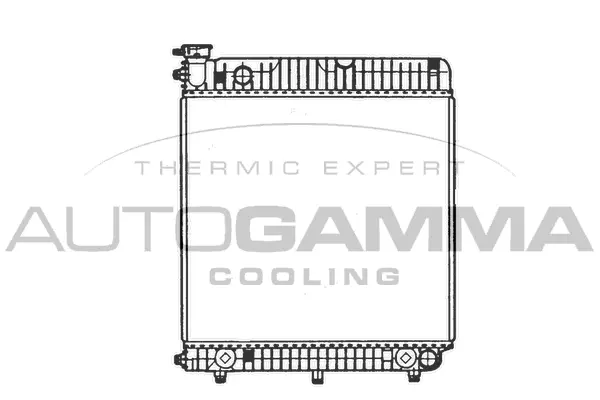 Radiator, engine cooling (402006)