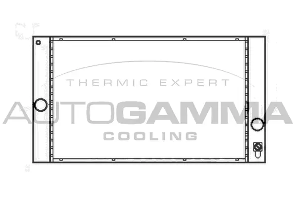 Radiator, engine cooling (104928)