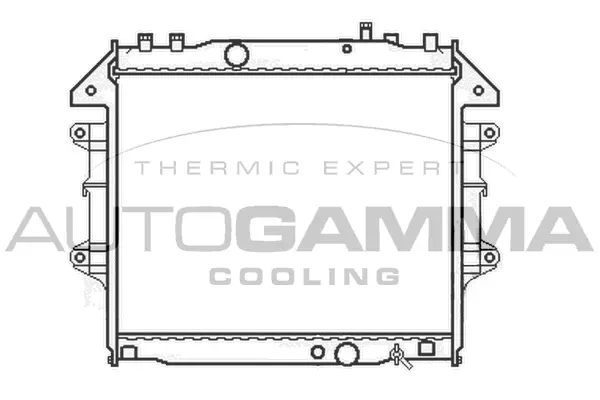Radiator, engine cooling (105113)
