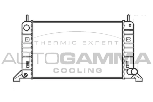 Radiator, engine cooling (100344)