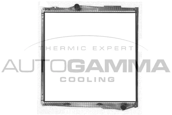 Radiator, engine cooling (405490)