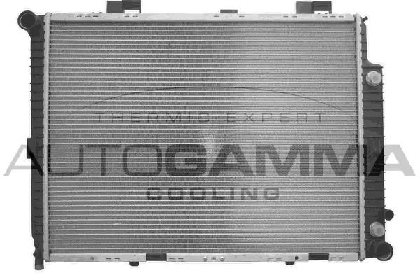 Radiator, engine cooling (101378)