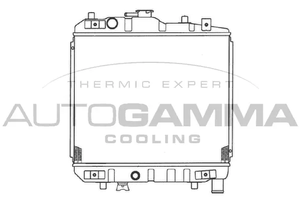 Radiator, engine cooling (100472)