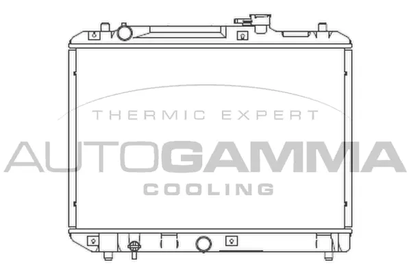 Radiator, engine cooling (102320)