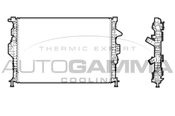 Radiator, engine cooling (107318)