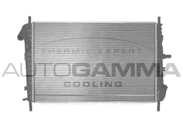 Radiator, engine cooling (103102)