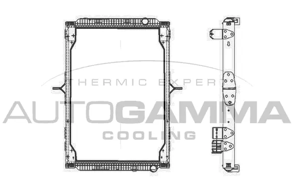 Radiator, engine cooling (404884)