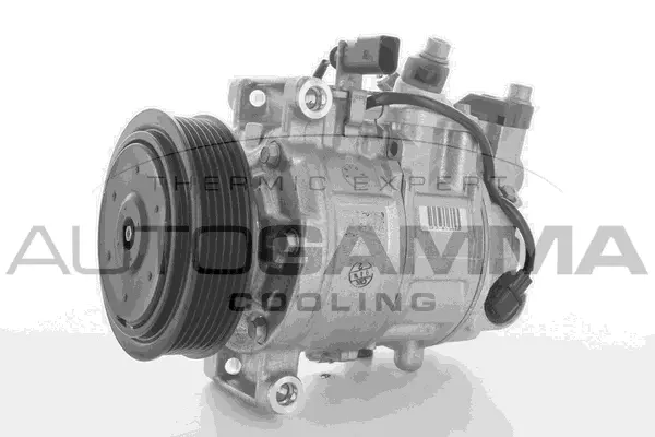 Compressor, air conditioning (118540)