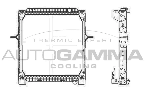 Radiator, engine cooling (404886)
