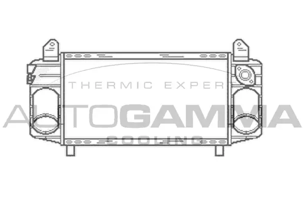 Charge Air Cooler (102999)