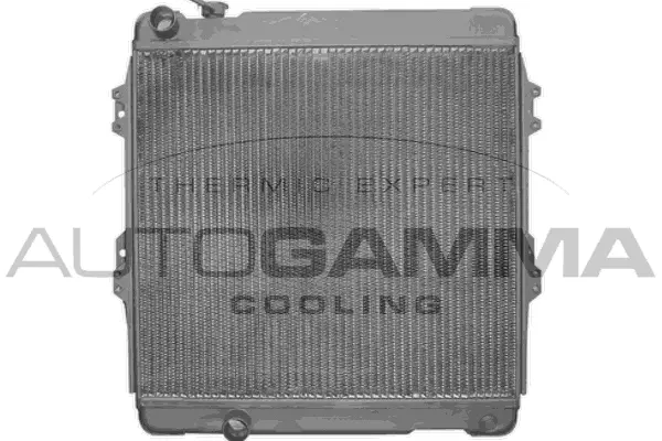 Radiator, engine cooling (103740)