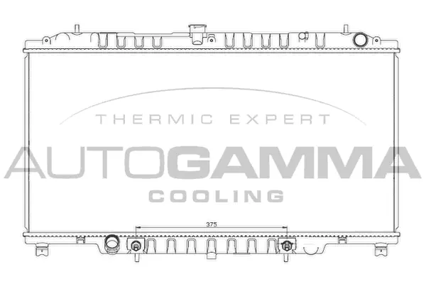 Radiator, engine cooling (104543)