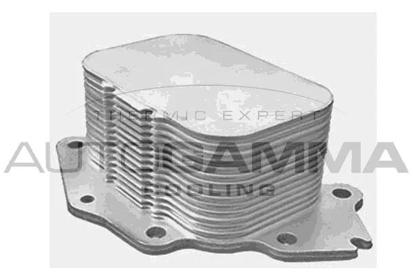 Oil Cooler, engine oil (107882)