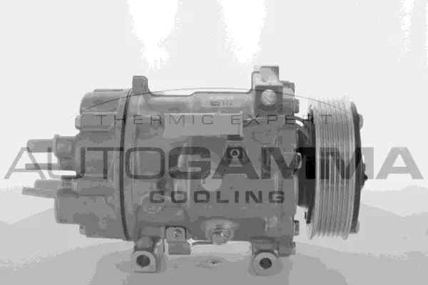 Compressor, air conditioning (118570)
