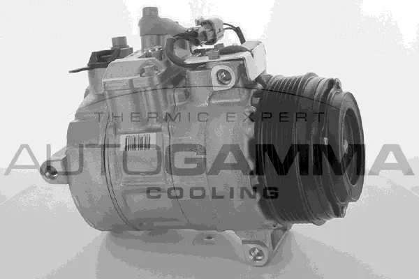Compressor, air conditioning (118583)
