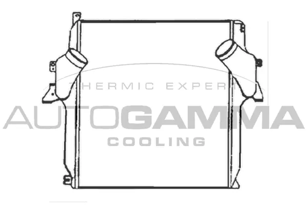 Charge Air Cooler (404386)