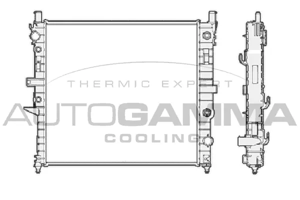 Radiator, engine cooling (102882)