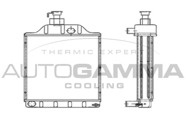 Radiator, engine cooling (402900)