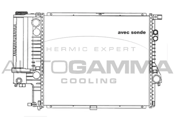 Radiator, engine cooling (101361)
