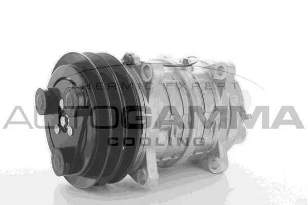 Compressor, air conditioning (109102)