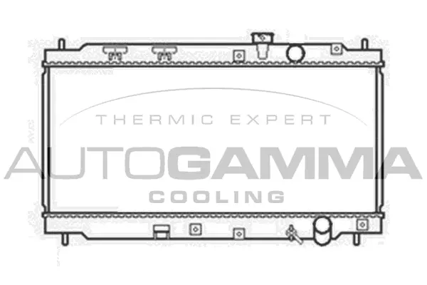 Radiator, engine cooling (102855)