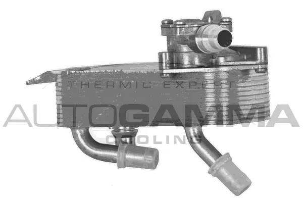 Oil Cooler, engine oil (107013)