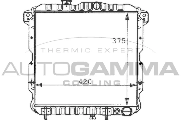 Radiator, engine cooling (100575)